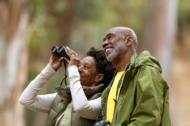 Bird Watching: Food, Feeders and Behavior