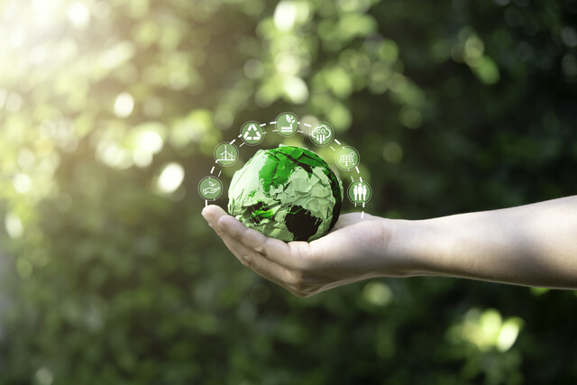 Sustainable Development for Business